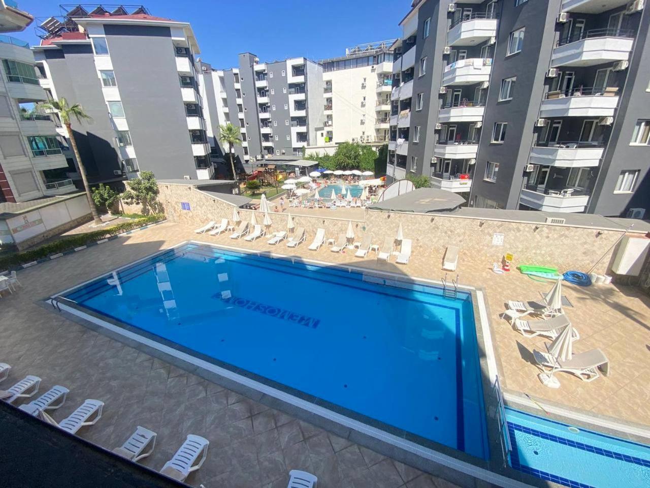 Sa Apartments! Beachfront Apartment With Sea View & Pool Аланя Екстериор снимка